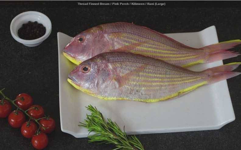 pink perch in tamil